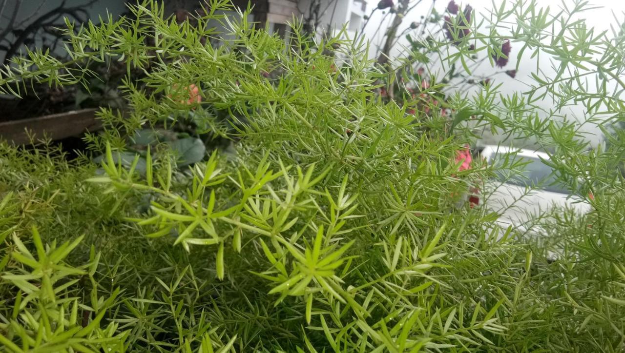 Ezhil Residency Hotell Kodaikanal Eksteriør bilde